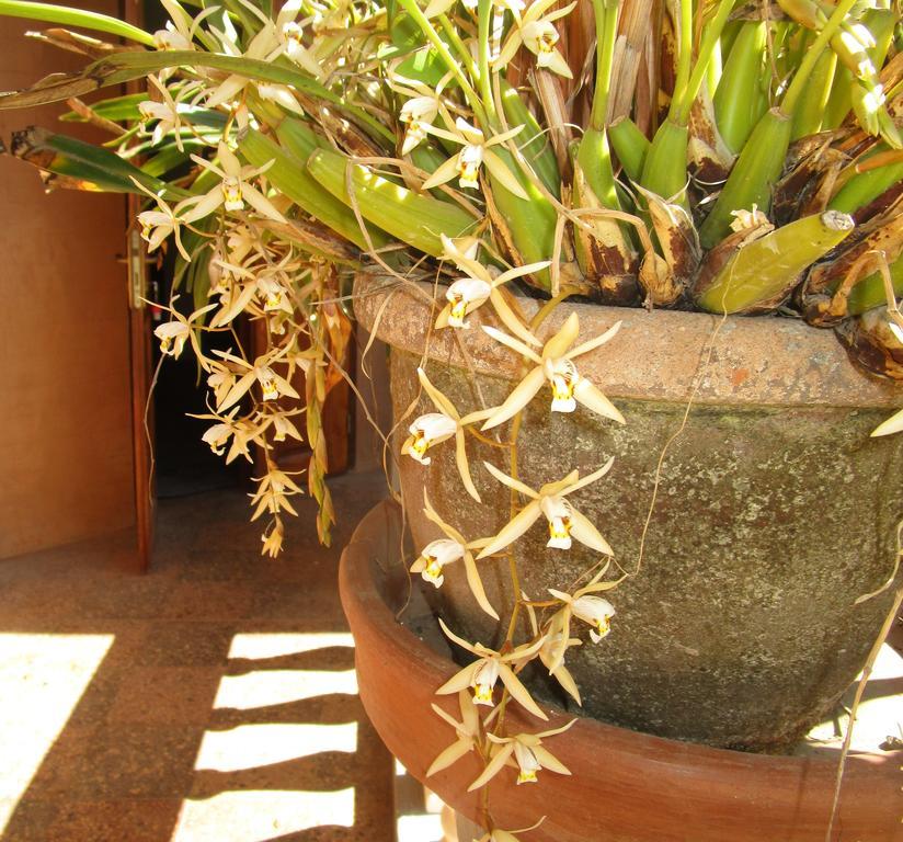 Meva Guesthouse Antananarivo Exteriör bild